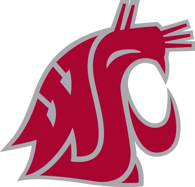 Washington State Cougars 1995-Pres Alternate Logo v5 diy iron on heat transfer